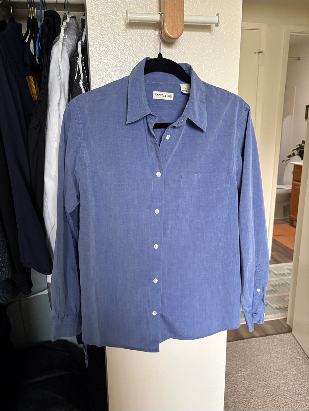 Ann Taylor Men's Light Blue Long-Sleeve Button-Down Shirt